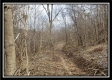 Camp Creek Getaway - Tract 6 property photo