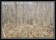 Camp Creek Getaway - Tract 6 property photo