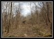 Camp Creek Getaway - Tract 6 property photo