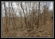 Camp Creek Getaway - Tract 6 property photo