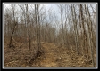 Camp Creek Getaway - Tract 6 property photo