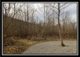Camp Creek Getaway - Tract 6 property photo