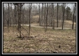 Tract 1 - The Woods at Buck Run property photo