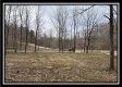 Tract 1 - The Woods at Buck Run property photo
