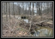 Tract 1 - The Woods at Buck Run property photo