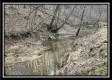 Tract 1 - The Woods at Buck Run property photo