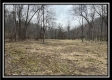 Tract 1 - The Woods at Buck Run property photo