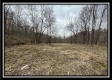 Tract 1 - The Woods at Buck Run property photo