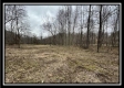 Tract 1 - The Woods at Buck Run property photo