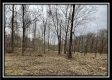 Tract 1 - The Woods at Buck Run property photo