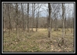 Tract 1 - The Woods at Buck Run property photo