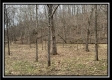 Tract 1 - The Woods at Buck Run property photo