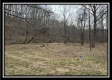 More of Tract 1 - The Woods at Buck Run