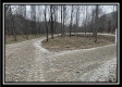 More of Tract 1 - The Woods at Buck Run
