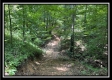 Tract 8 - The Woods at Buck Run property photo