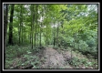Tract 8 - The Woods at Buck Run property photo