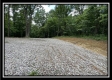Tract 8 - The Woods at Buck Run property photo