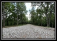 Tract 8 - The Woods at Buck Run property photo