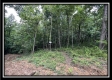 More of Tract 8 - The Woods at Buck Run