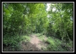 Tract 8 - The Woods at Buck Run property photo