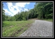More of Tract 8 - The Woods at Buck Run