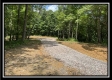 More of Tract 8 - The Woods at Buck Run