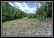 More of Tract 8 - The Woods at Buck Run