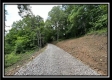 More of Tract 8 - The Woods at Buck Run