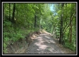 Tract 8 - The Woods at Buck Run property photo