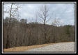 Tract 2 - The Woods at Buck Run property photo