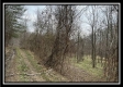 Tract 2 - The Woods at Buck Run property photo