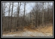 Tract 2 - The Woods at Buck Run property photo