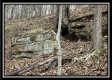 More of Tract 2 - The Woods at Buck Run