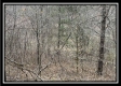 Tract 2 - The Woods at Buck Run property photo