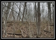 Tract 2 - The Woods at Buck Run property photo