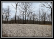 Tract 2 - The Woods at Buck Run property photo