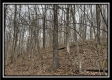 Tract 2 - The Woods at Buck Run property photo