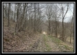 Tract 2 - The Woods at Buck Run property photo