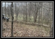 More of Tract 2 - The Woods at Buck Run
