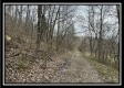 Tract 2 - The Woods at Buck Run property photo