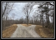 Tract 2 - The Woods at Buck Run property photo