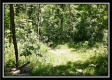 Bluebird Cabin at Muskingum Woods property photo