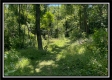 Bluebird Cabin at Muskingum Woods property photo