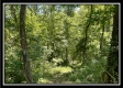 Bluebird Cabin at Muskingum Woods property photo