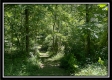 Bluebird Cabin at Muskingum Woods property photo