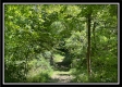 Bluebird Cabin at Muskingum Woods property photo
