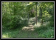 Bluebird Cabin at Muskingum Woods property photo