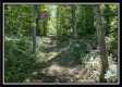 Bluebird Cabin at Muskingum Woods property photo