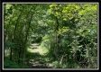 Bluebird Cabin at Muskingum Woods property photo