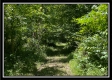 Bluebird Cabin at Muskingum Woods property photo